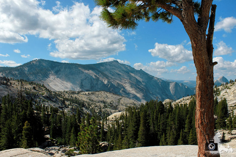 Yosemite - Tioga Road