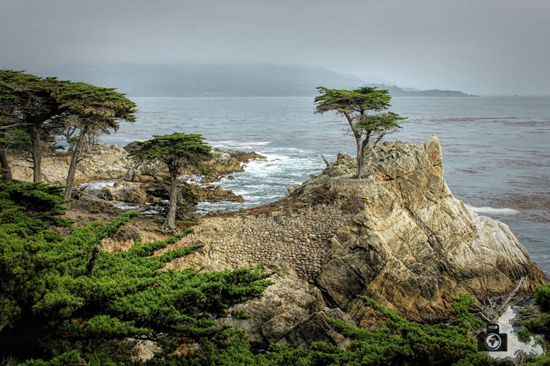 17 Mile Drive, Monterey, Lone Cypress