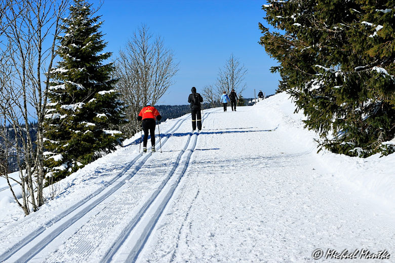 Winterwanderweg Feldberg