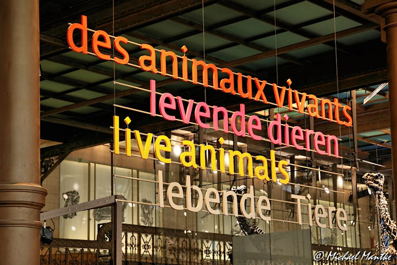 Brüssel Naturkundemuseum