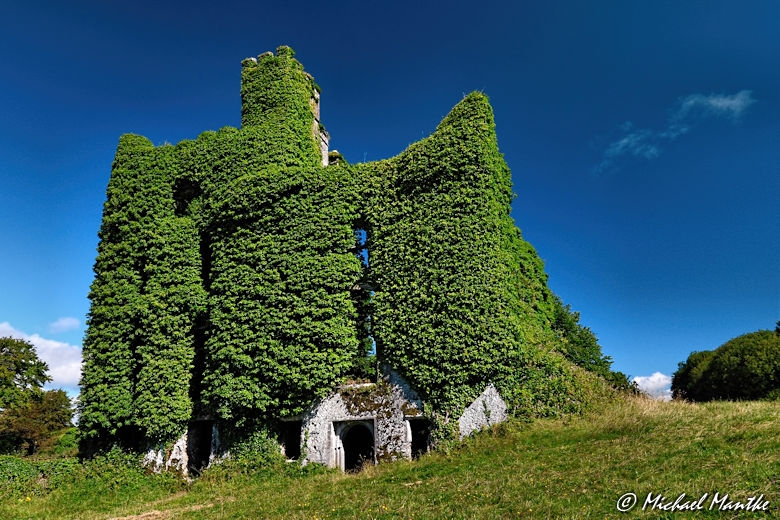 Irland Bilder Menlo Castle