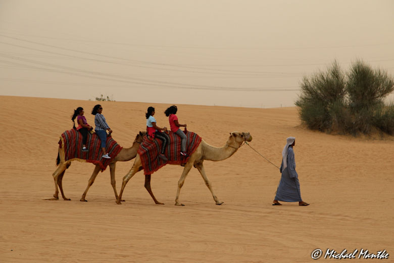 Dubai Wüstensafari Kamelreiten