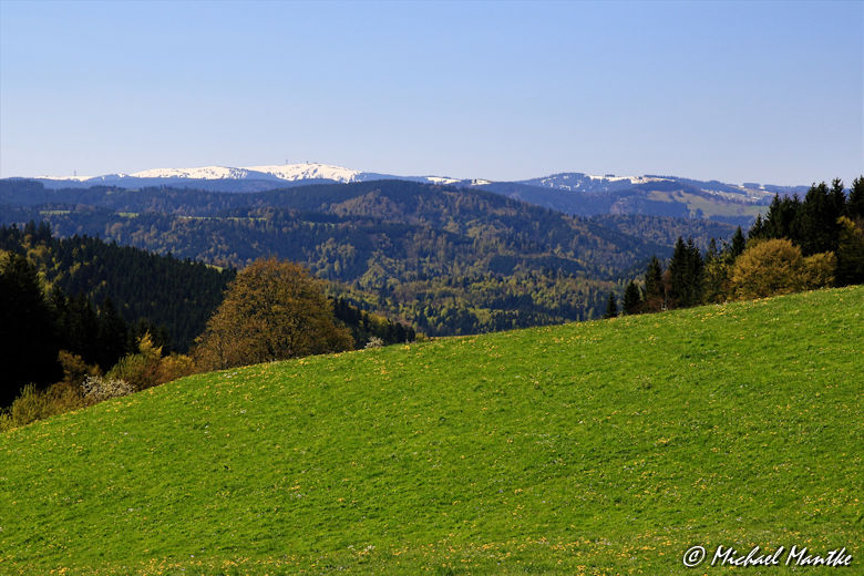 Hochschwarzwald Landschaft mit Blick auf Feldberg