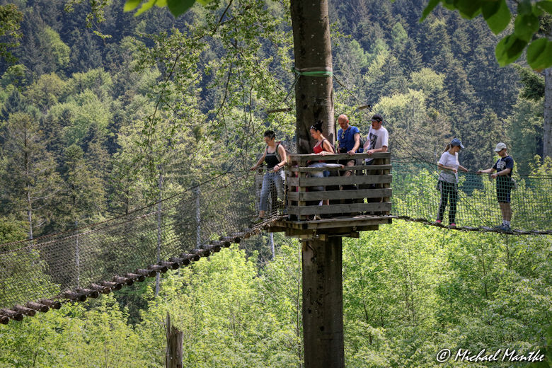 Baumkronenweg Waldkirch Hängebrücke Abenteuerweg