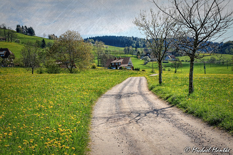 Panoramaweg St. Märgen - Weg nach Schmittenbach