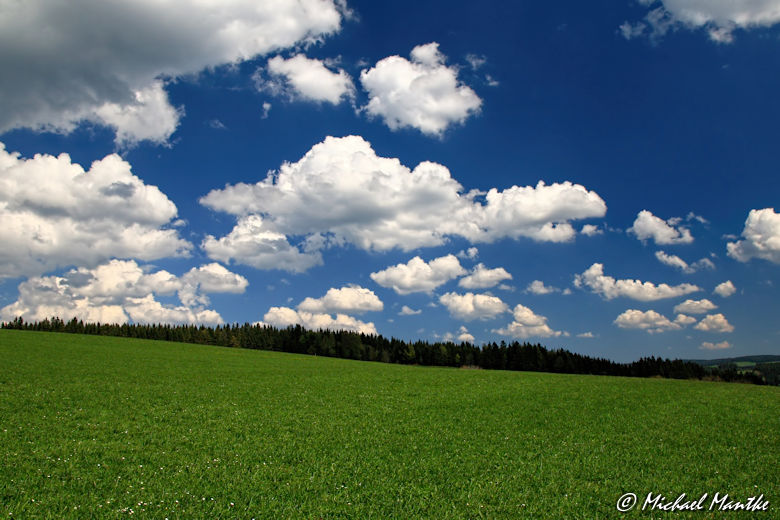 Panoramaweg St. Märgen - Wolken am blauen Himmel über grüner Wiese