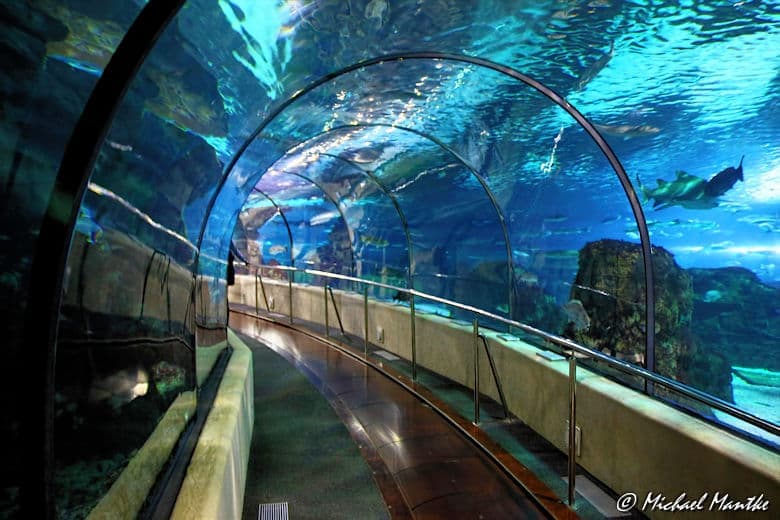 Aquarium Barcelona Unterwassertunnel