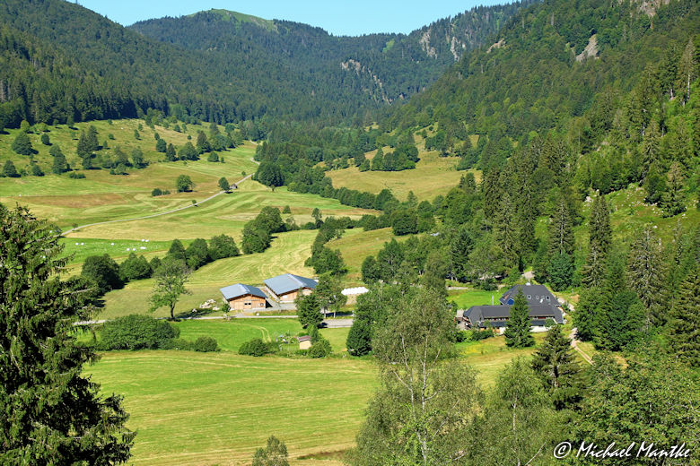 Menzenschwand Geissenpfad Schwarzwald Landschaft