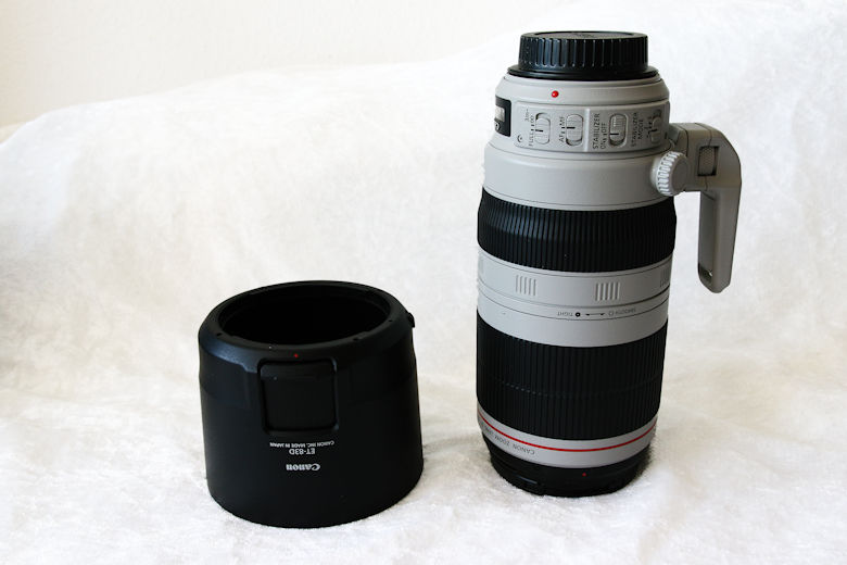 Canon EF 100-400 mm L IS II USM 