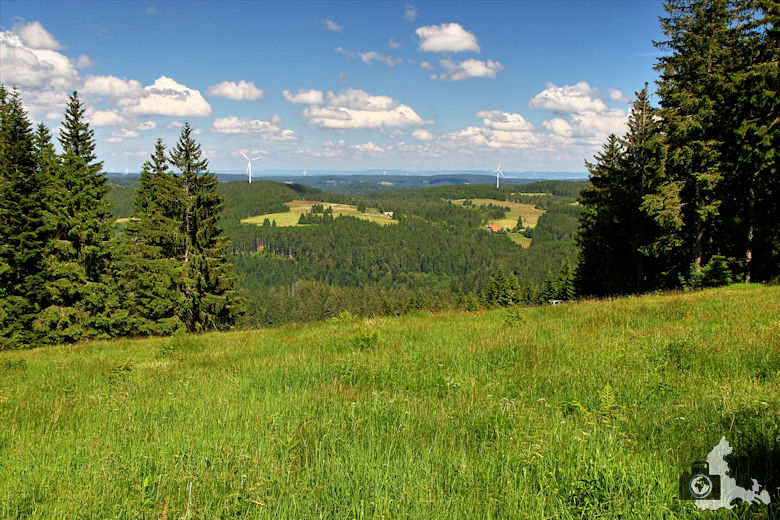 Uhrwaldpfad Rohrhardsberg mit Ausblick auf Nordschwarzwald