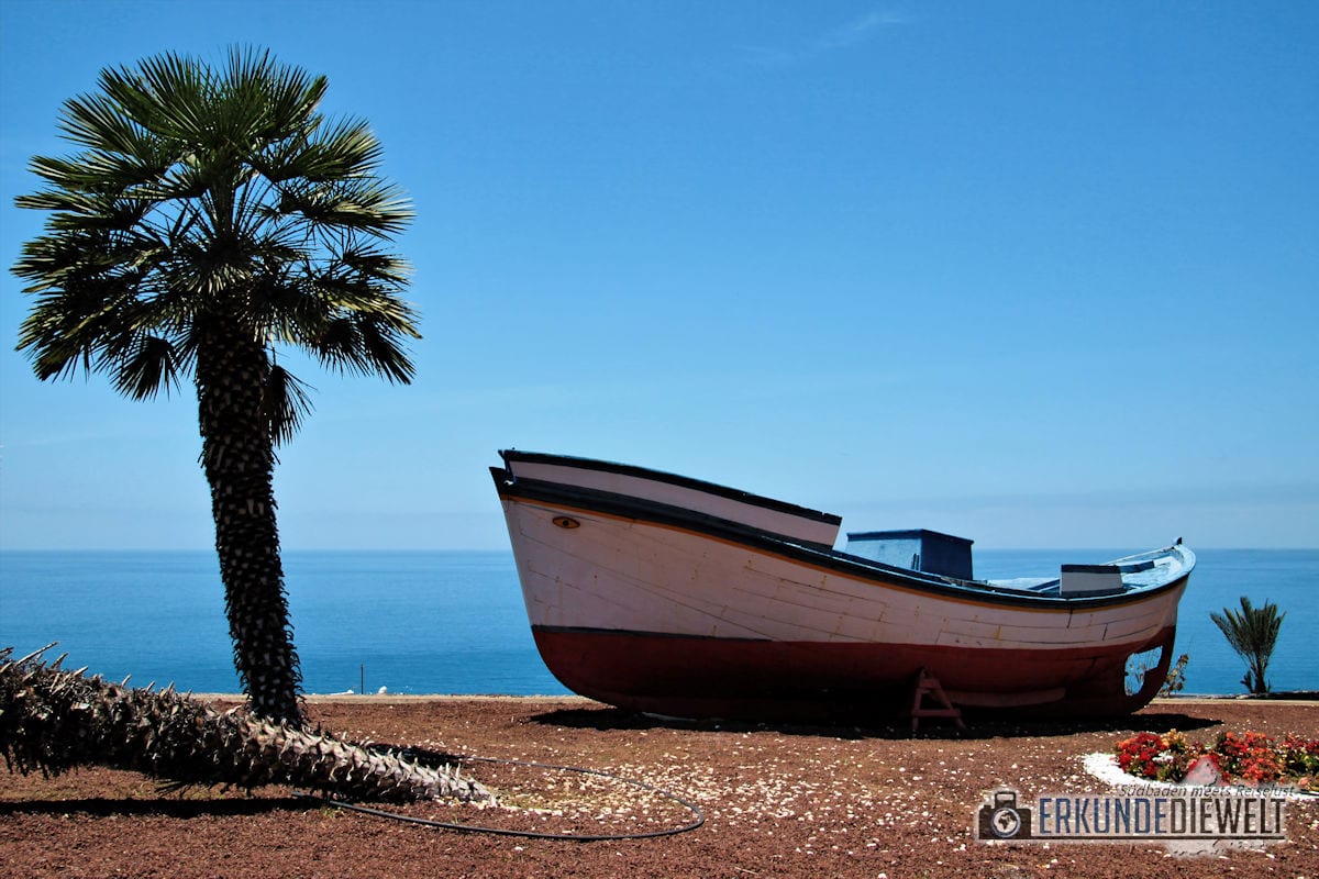 15spa0018-tenerife-palm-boat
