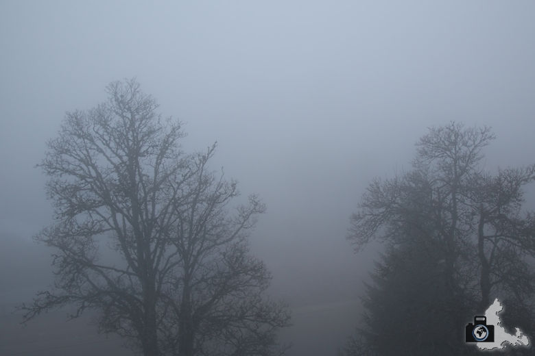Feldberger Hof im Nebel