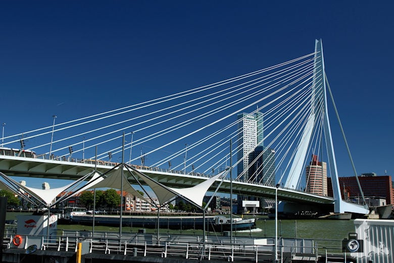 Rotterdam in den Niederlanden - Erasmusbrücke