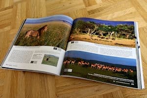 buchempfehlung-safari-fotografieren