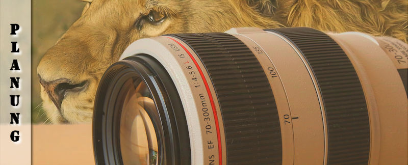 safari-fotoausruestung-telezoom