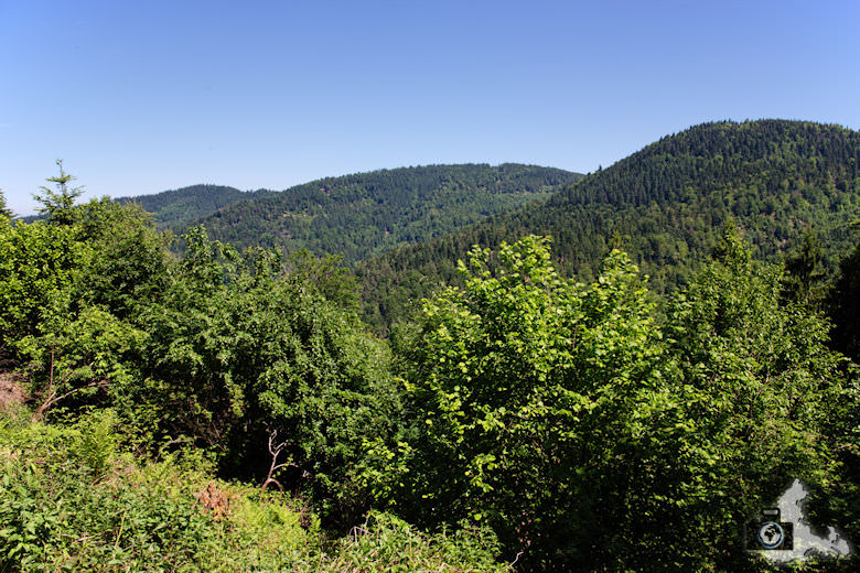 buehlertal-gertelbach-rundweg-ausblick