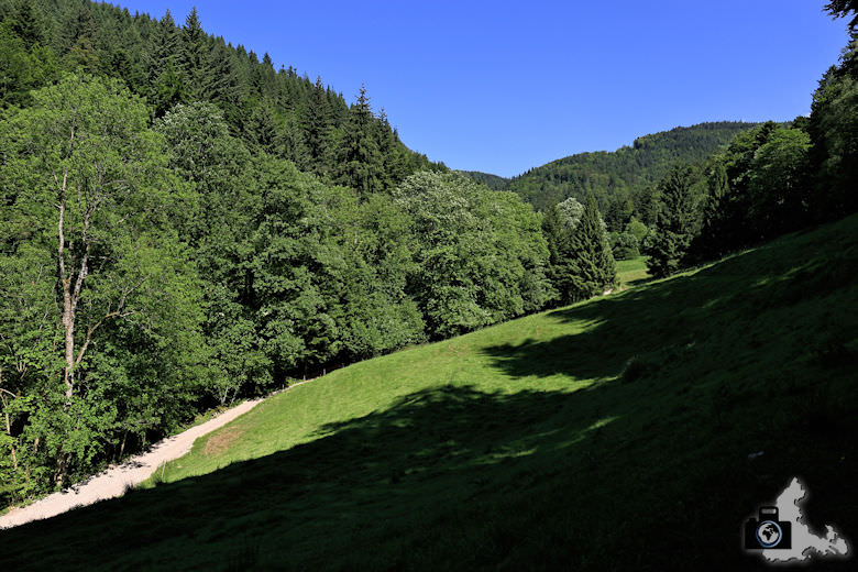 buehlertal-gertelbach-rundweg