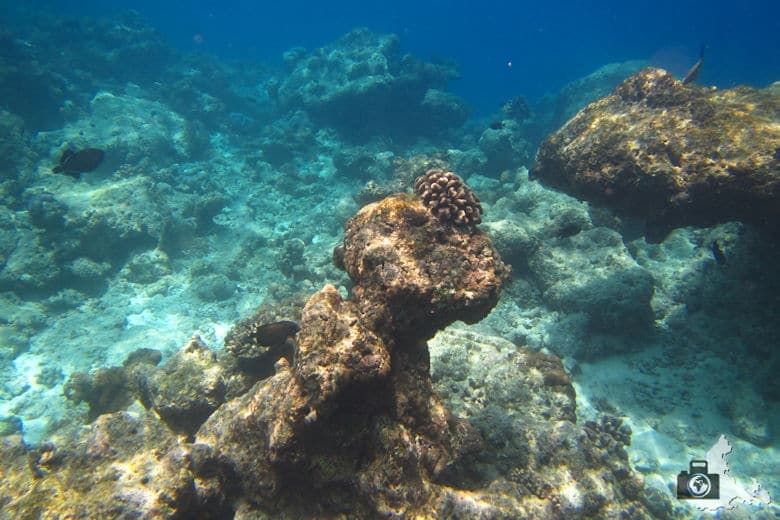 Riff unter Wasser, Ukulhas, Malediven