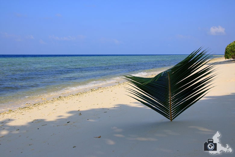 Ukulhas Malediven - Strand, Meer, Palmenblatt