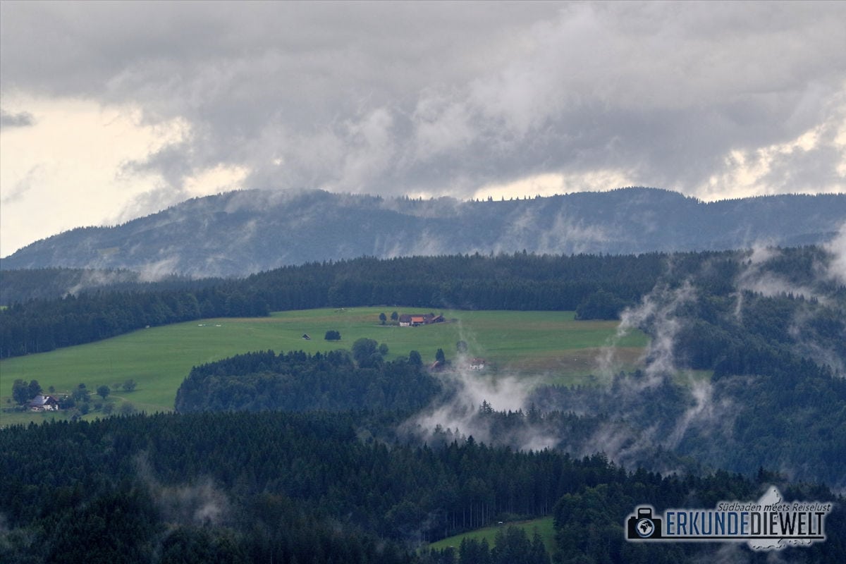 Nebelschwaden, Schwarzwald, Deutschland