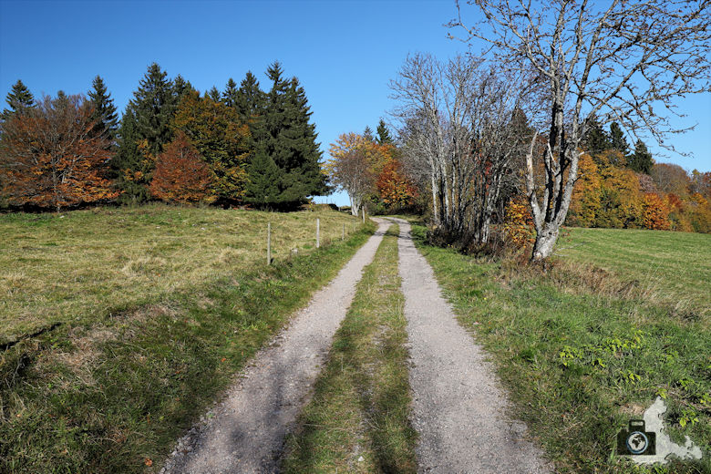 Ibacher Panoramaweg - Feldweg