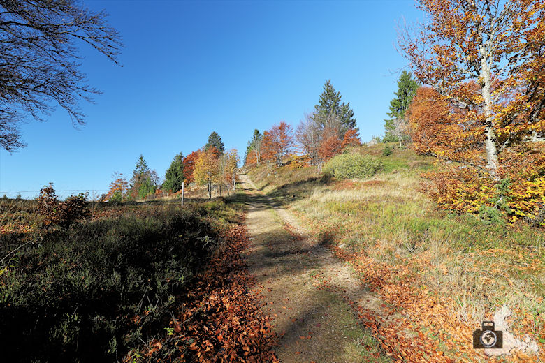 Ibacher Panoramaweg - Herbstwanderung