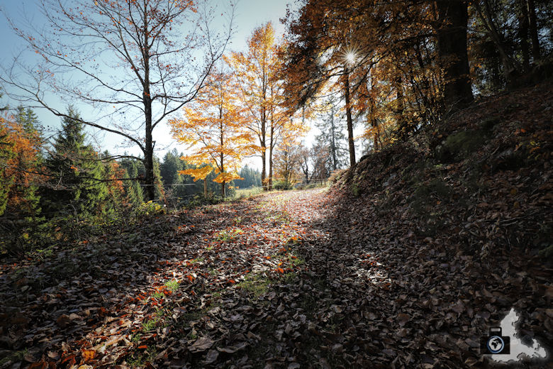 Ibacher Panoramaweg - Laub im Herbst