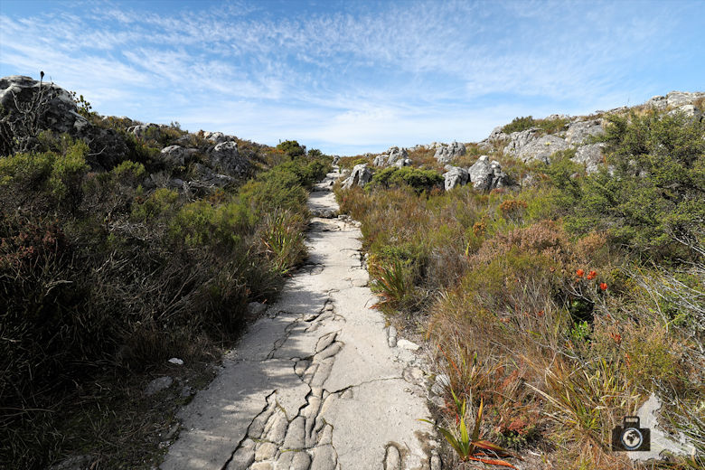Kapstadt - Wandern auf dem Tafelberg