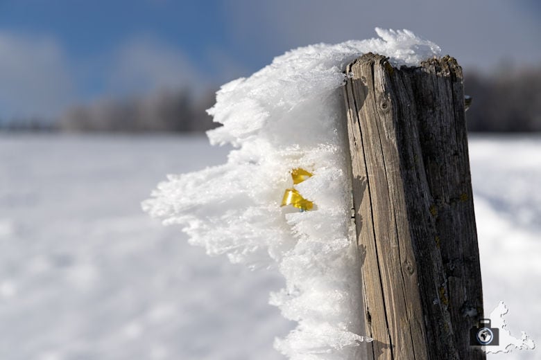 Fotowalk #4 - Schauinsland im Winter - Gefrorener Schnee