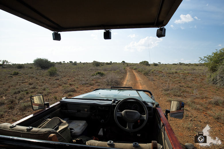 Safari Jeep der Kuzuko Lodge im Addo Elephant Nationalpark