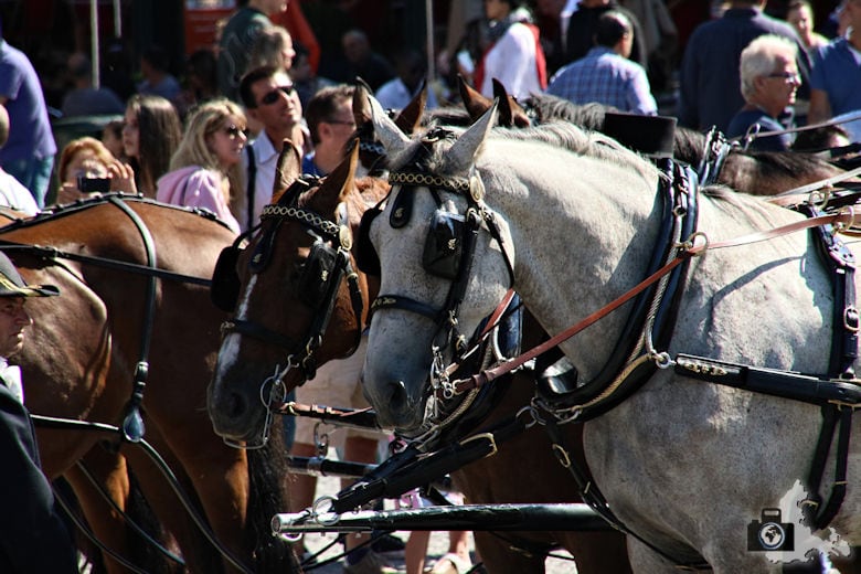 historisch geschmückte Pferdekutschen in Brügge