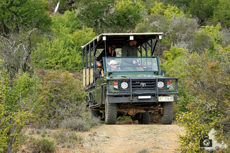 Safari Jeep im Addo Elephant National Park