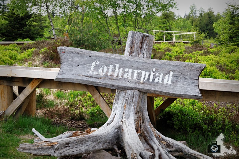 Lotharpfad im Schwarzwald