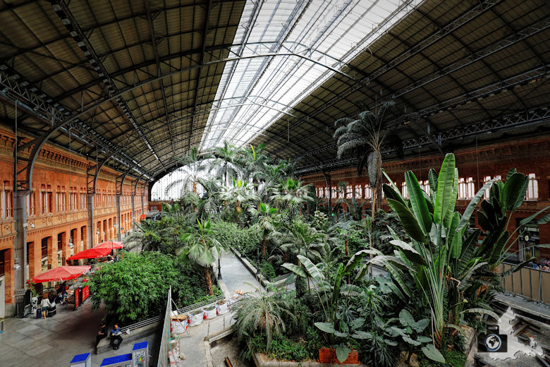 Bahnhof Madrid Atocha - Halle mit Palmen