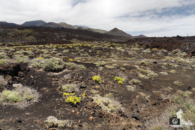 Reisebericht La Palma - Lava Landschaft im Süden