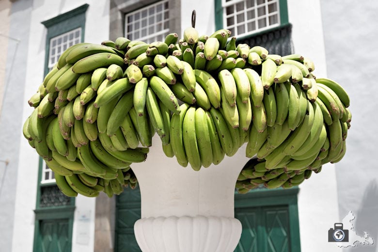 Santa Cruz de la Palma, Bananen