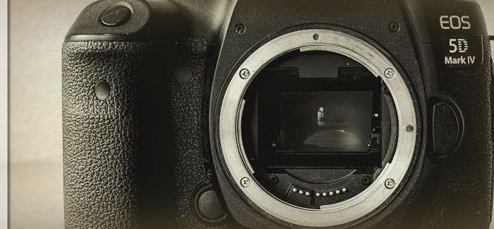 Canon EOS 5D Mark IV - Testbericht & Review