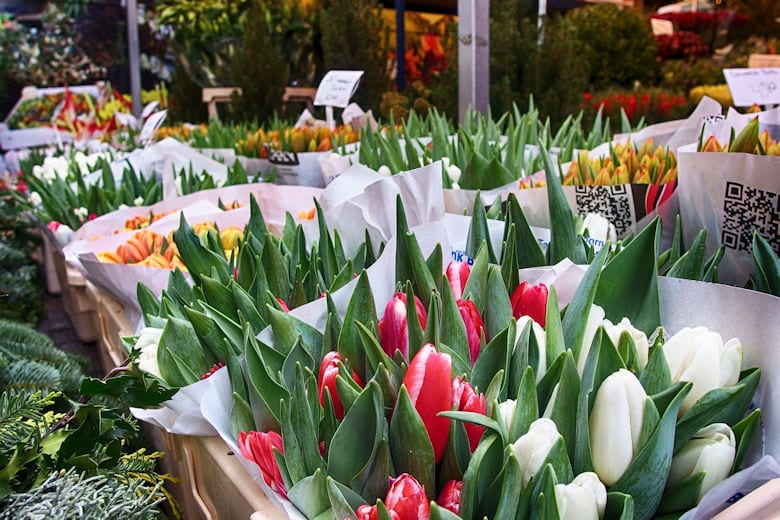 fotografieren-in-amsterdam-bloemenmarkt
