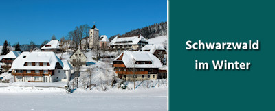 Schwarzwald im Winter – Aktivitäten, Tipps & Ausflugsideen