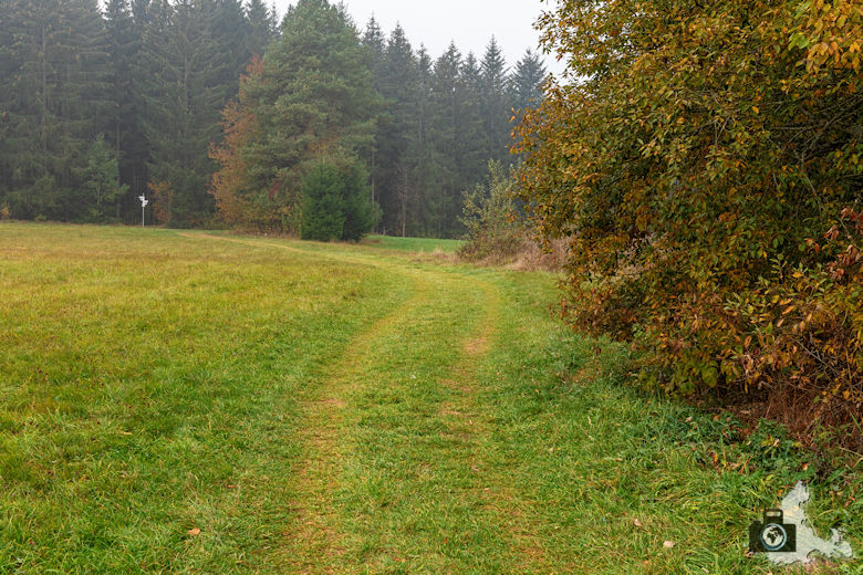 Schwarzwälder Genießerpfad - Rötenbachschlucht - Wiese