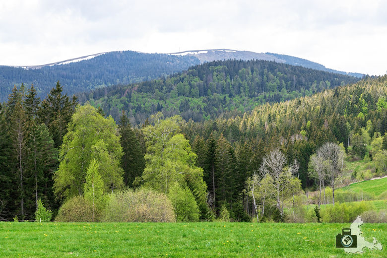 Schwarzwälder Genießerpfad - Säbelthomaweg Hinterzarten - Feldberg