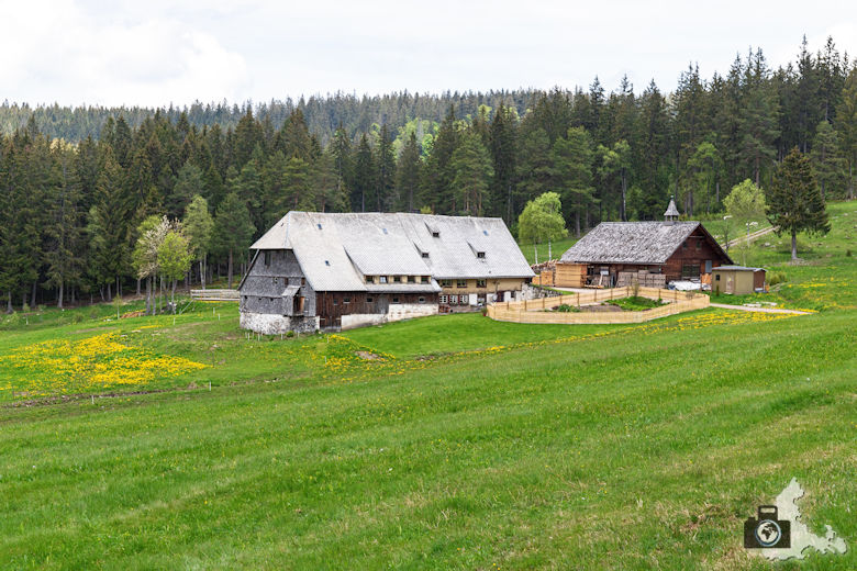 Schwarzwälder Genießerpfad - Säbelthomaweg Hinterzarten - Häuslebauernhof