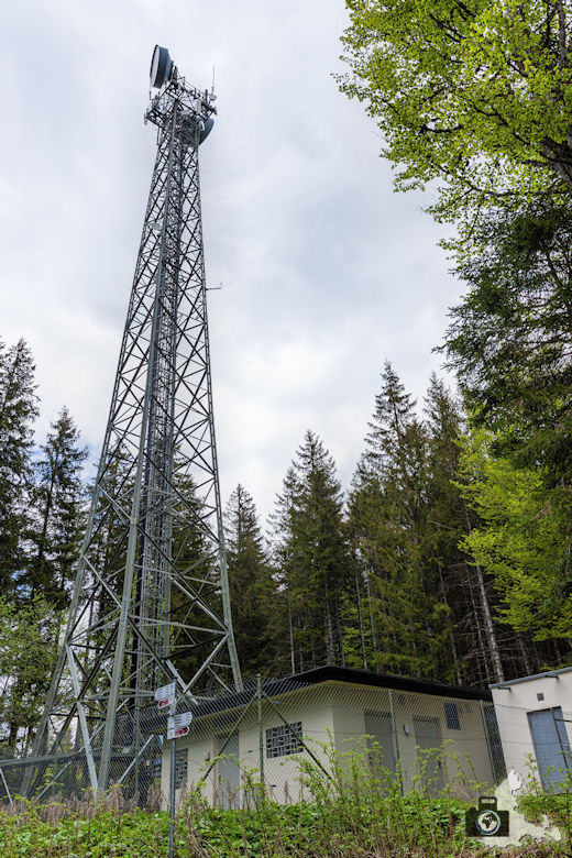 Schwarzwälder Genießerpfad - Säbelthomaweg Hinterzarten - Funkturm