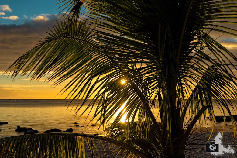 Fotowalk #9 - Am Strand von Mauritius - Sonnenuntergang hinter Palmen