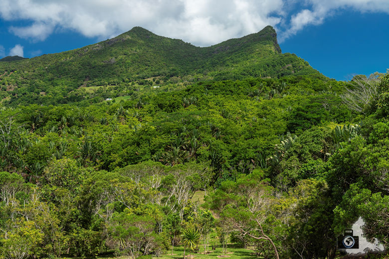 Natur auf Mauritius