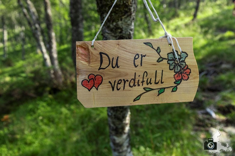 Fuglefjell Wanderung in Norwegen am Sognefjord