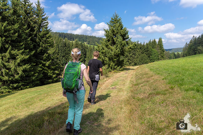 Wanderer, Schwarzwälder Genießerpfad Heilklima-Steig Schönwald