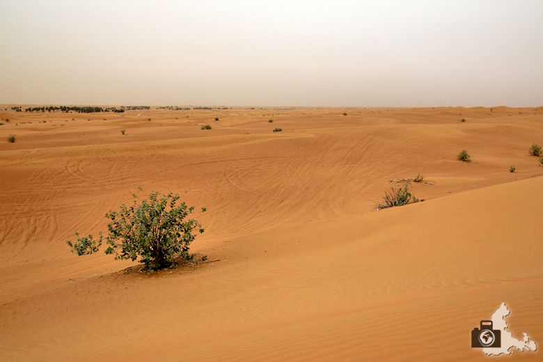 Tipps zum Schutz von Kamera und Fotoausrüstung bei Hitze und vor Sand in Wüsten