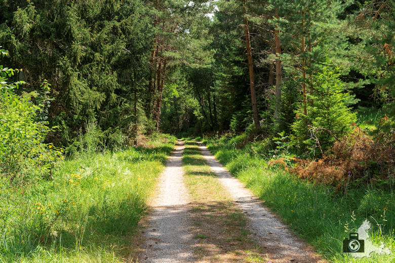 Wanderung Genießerpfad Himmelberg Runde - Waldweg