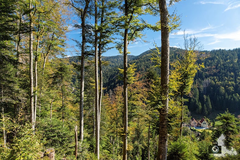 Schwarzwälder Genießerpfad - Lebküchlerweg - Aussicht
